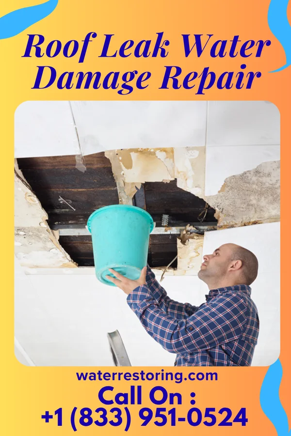 Roof Leak Water Damage Repair in Rotan, TX